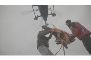 The Kentucky Elk Expansion