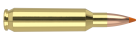 22 Nosler 55gr Ballistic Tip Varmint Ammunition