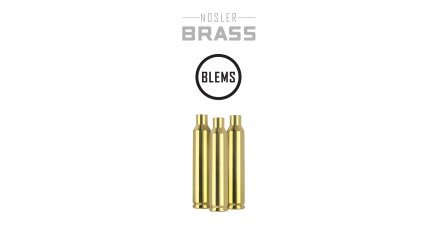 204 Ruger Premium Brass (50ct) (BLEM)