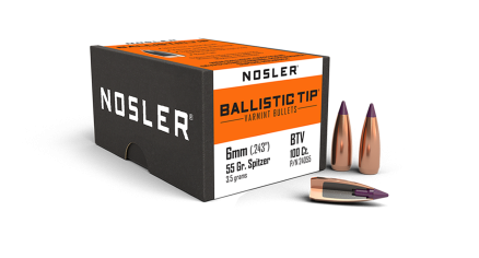 6mm 55gr Ballistic Tip Varmint (100ct)