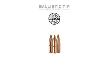 22 Caliber 60gr Ballistic Tip Varmint (Factory Seconds) | 100 Count