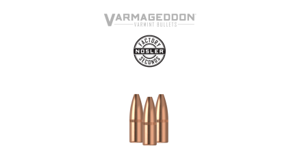 22 Caliber 62gr FBHP Varmageddon (Factory Seconds) | 100 Count
