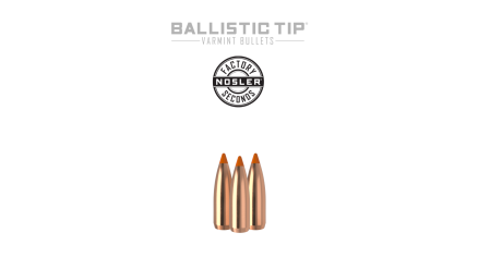 22 Caliber 55gr Ballistic Tip Varmint (factory seconds) | 100 Count