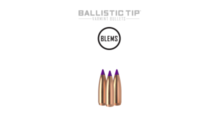 6mm 70gr Ballistic Tip Varmint (100ct) (BLEM)