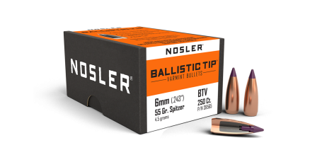 6mm 55gr Ballistic Tip Varmint (250ct)
