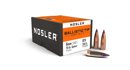 6mm 70gr Ballistic Tip Varmint (250ct)