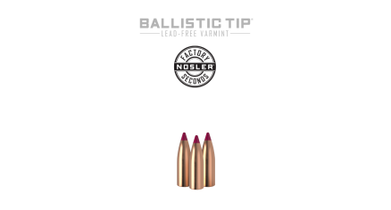 204 Caliber 32gr Ballistic Tip Lead Free (Factory Seconds) | 100 Count