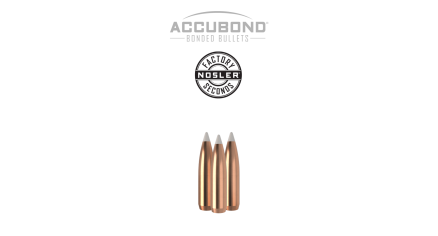25 Caliber 110gr AccuBond (Factory Seconds) | 50 Count