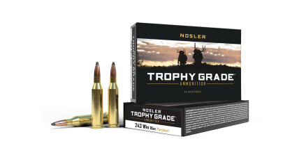 243 Win 85gr Partition Trophy Grade Ammunition