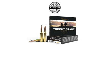 6.5 Creedmoor 140gr Partition Trophy Grade Ammunition (Factory Seconds) | 20 Count