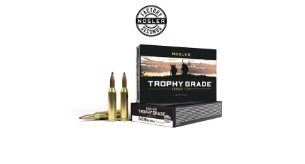 243 Win 100gr Partition Trophy Grade Ammunition (Factory Seconds) | 20 Count