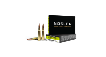 6.5x55 Swedish 140g Ballistic Tip Hunting Ammunition