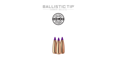 6mm 55gr Ballistic Tip Varmint (Factory Seconds) | 100 Count