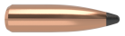 25 Caliber 100gr Partition (50ct)