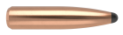 270 Caliber 160gr Partition (50ct)