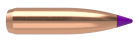 6mm 95gr Ballistic Tip Hunting (50ct)