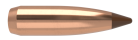 6.5mm 100gr Ballistic Tip Hunting (50ct)