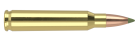 223 Remington 55gr Expansion Tip Ammunition