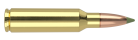 300 WSM 180gr Expansion Tip SP Ammunition