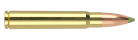 9.3x62 250gr Expansion Tip Ammunition