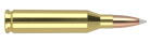 243 Win 100gr Partition Trophy Grade Ammunition