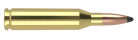 243 Win 85gr Partition Trophy Grade Ammunition