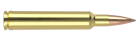 300 WBY 210gr AccuBond Long Range Trophy Grade Ammunition