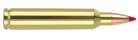 204 Ruger 40gr Ballistic Tip Varmint Ammunition