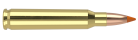 223 Remington 55gr Ballistic Tip Varmint Ammunition