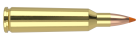 22-250 Remington 55gr Ballistic Tip Varmint Ammunition
