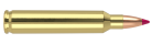 204 Ruger 32gr Ballistic Tip Lead Free Varmint Ammunition