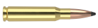 308 Winchester 165gr Solid Base® Whitetail Country™ Ammunition