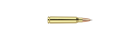 223 Rem. 70gr AccuBond Trophy Grade Ammunition