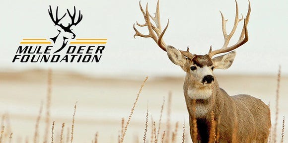 MuleDeerFoundation